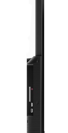 KIVI 43U740LB