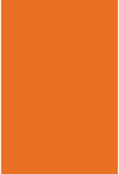 Savage Widetone Orange 2.72m x 11m