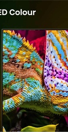 Hisense 100U7SE