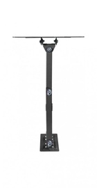 KIVI Motion-223