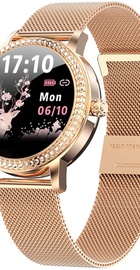 Linwear LW20 Metal с тонометром (Золотой)