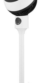 ARDESTO FNT-C880