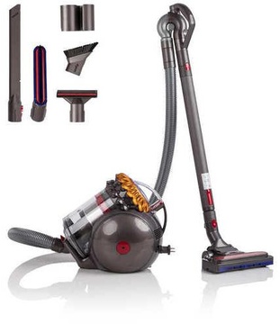 Dyson Big Ball Allergy 2