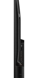 TCL 50V6B