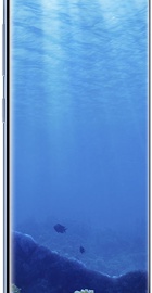 Samsung Galaxy S8 64Gb G950FD Coral Blue