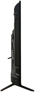 Avalon B50MQA800