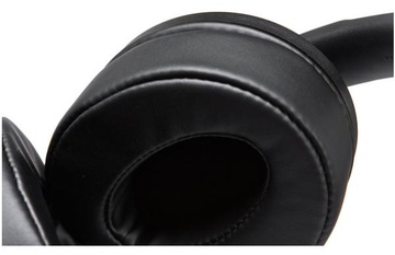 Sennheiser HD 300
