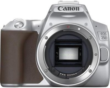 Canon EOS 250D kit (18-55mm) EF-S IS STM Silver (3461C003)