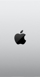 Apple MacBook Pro 16" Late 2024 Silver (MX2T3)