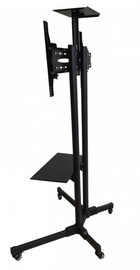 iTech T1028B