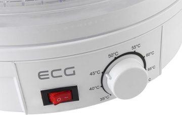 ECG SO 570