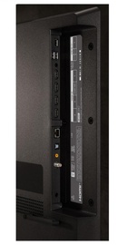 OLED42C41LA