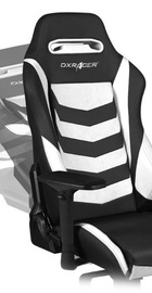 DXRacer Iron OH/IS166/NW