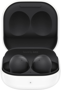 Samsung Galaxy Buds2 Graphite (SM-R177NZKA)