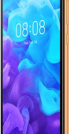 HUAWEI Y5 2019 2/16GB Brown (51093SHE)