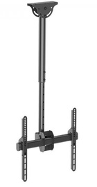 iTech Celb-54SH