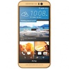 HTC One M9 Gold on Gold