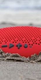 Boom Urchin Red