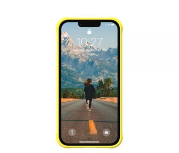 URBAN ARMOR GEAR iPhone 13 Pro Dip Acid (11315U317878)