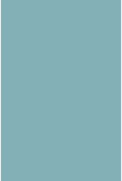 Savage Widetone Sky Blue 2.72m x 11m