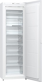 Gorenje FN6192DHW
