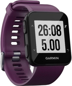 Garmin Forerunner 30 Amethyst (010-01930-05)