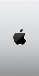 Apple MacBook Pro 14" Silver Late 2023 (Z1AX002A8)