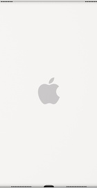 Apple Silicone Case for 9.7-inch iPad Pro White (MM202)