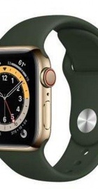 Apple Watch Series 6 GPS + Cellular 44mm Gold Stainless Steel Case w. Cyprus Green Sport B. (M07N3/M09F3)