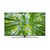 LG 60UQ8100