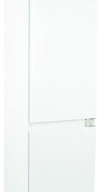 Interline RDS 570 MOZ NA+