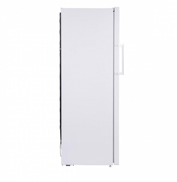 Beko RFNE290L21W