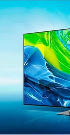 Samsung QE55S95B
