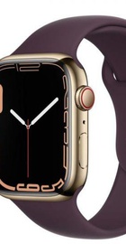 Apple Watch Series 7 GPS + Cellular 45mm Gold Stainless Steel Case with Dark Cherry Sport Band (MKJF3, MKJX3)