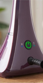 Russell Hobbs Steam Genie Colour Control 27410-56