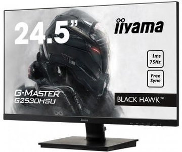 Iiyama G2530HSU-B1