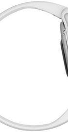 Garmin Fenix 6S Silver/White (010-02159-00)