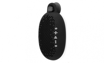 Boom Urchin Black