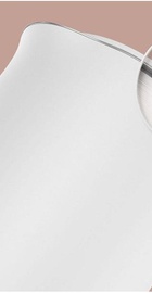 MiJia Electric Kettle (MJDSH01YM)