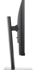 Dell P2417H Black (210-AJEX)