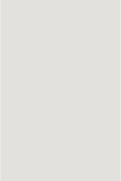 Savage Widetone Soft Gray 1.36m x 11m