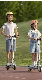 Ninebot eKickScooter ZING C8 (AA.00.0011.61)