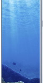 Samsung Galaxy S8 Plus 64Gb G955FD Coral Blue