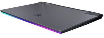 MSI GE66 Raider 10UG (GE6610UG-211US)