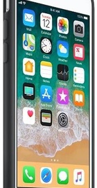 Apple iPhone 8 / 7 Silicone Case - Black (MQGK2)