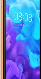 HUAWEI Y5 2019 2/16GB Brown (51093SHE)