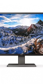 Philips 439P1/00, 439P1/01