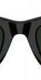 Ray-Ban Meta Wayfarer Gen 2 Stand.Shiny B. Frame/Clear to Graphite Green Transit.Lens (RW4012 601/1M 50-22)