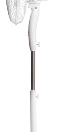 Ardesto FN-R1608RW