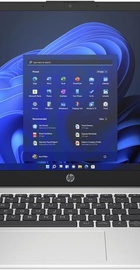 HP 255 G10 Turbo Silver (816F6EA)